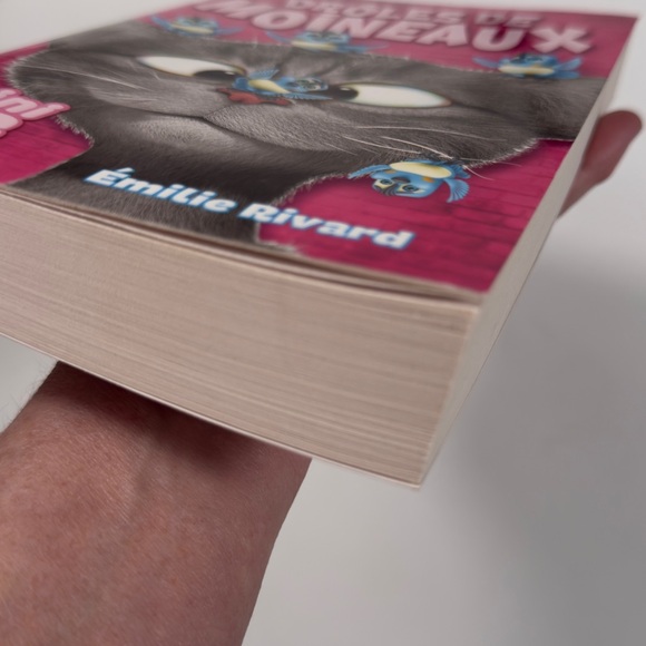 📚 Drôles de moineaux – Émilie Rivard - Picture 4 of 6